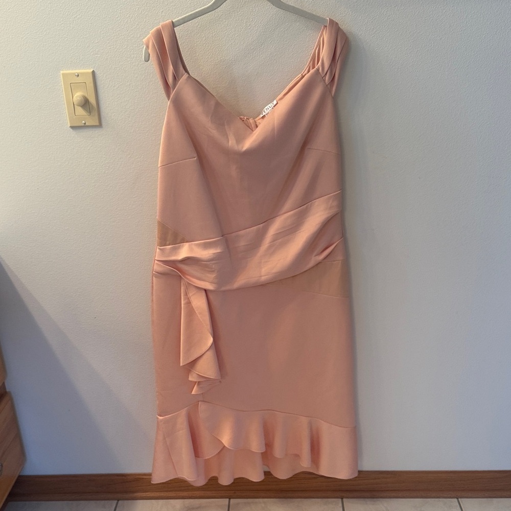 Venus Elegant Pink/Blush Sleeveless Dress